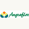 Logotipo de Angraflor-Horto fruti Floricultura lda