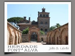 Imagem de Sociedade Agricola de Font`Alva
